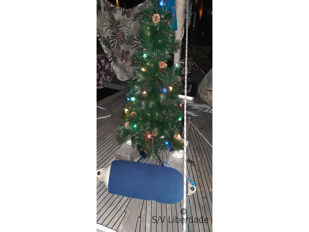 Sapin de noël 2024