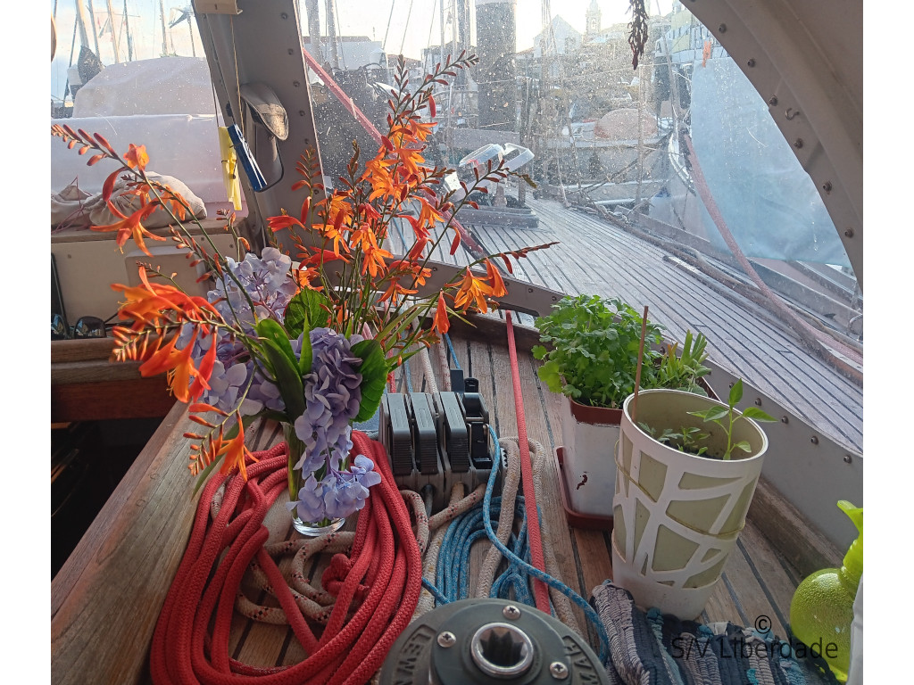 Fleurs sur le pont