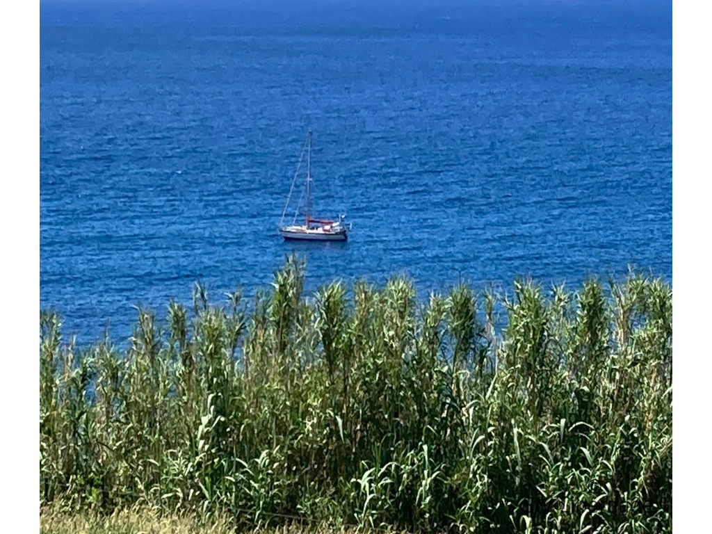 Liberdade au mouillage