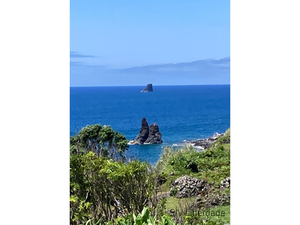 Liberdade au mouillage